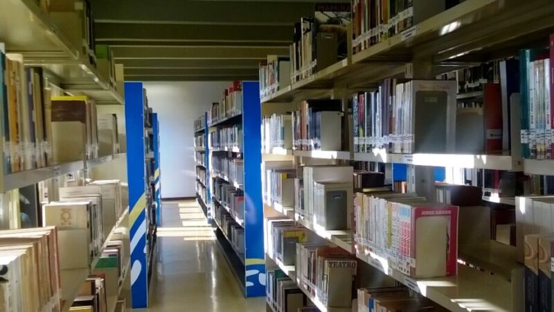 A três semanas do fim do verão, a Biblioteca Isaías Paim adianta os livros mais lidos da temporada