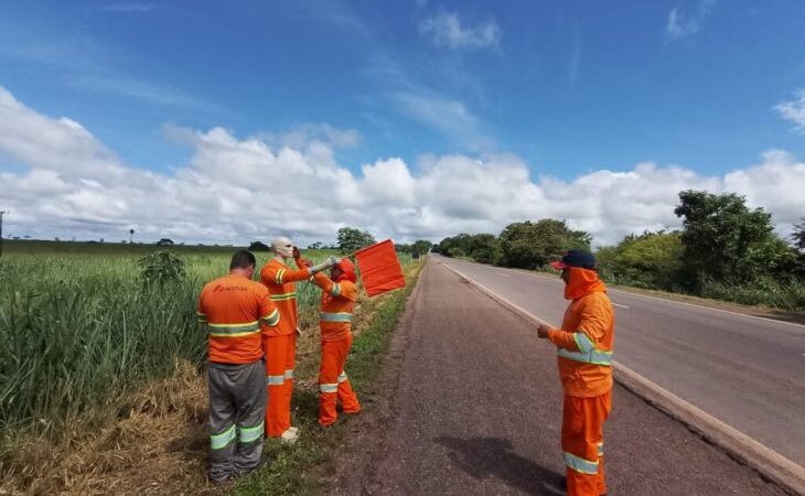 Bonecos são usados para orientar motoristas e salvar animais em rodovia do Pantanal