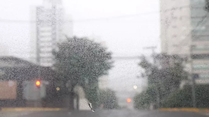 Semana deve ser de chuva, neblina, geada e frio de até 5°C em Mato Grosso do Sul