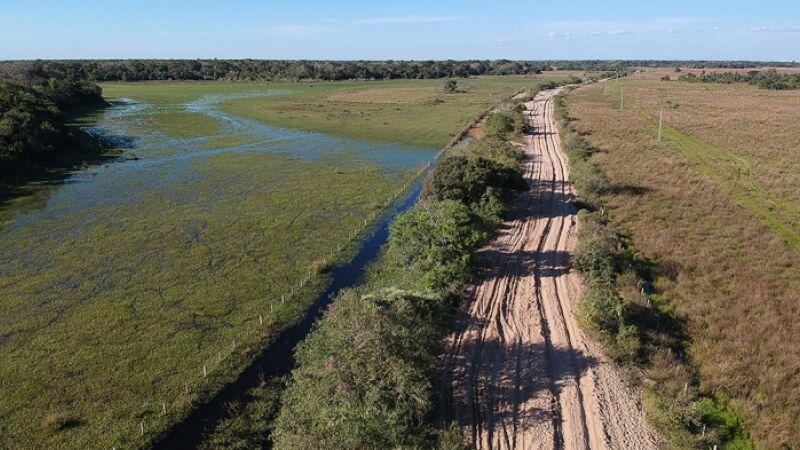 Tribunal de Contas de MS vai embargar rodovia para preservação do Pantanal