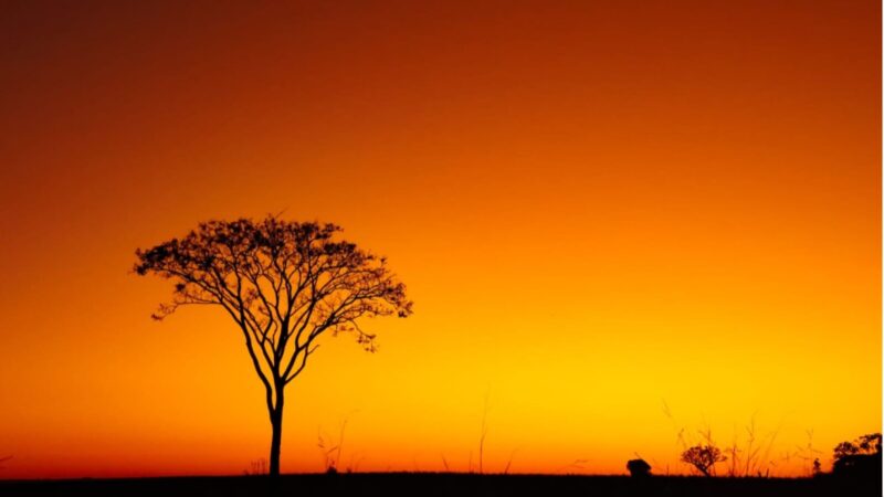 Mato Grosso do Sul tem alerta de baixa umidade do ar em 20% e sensação de clima desértico