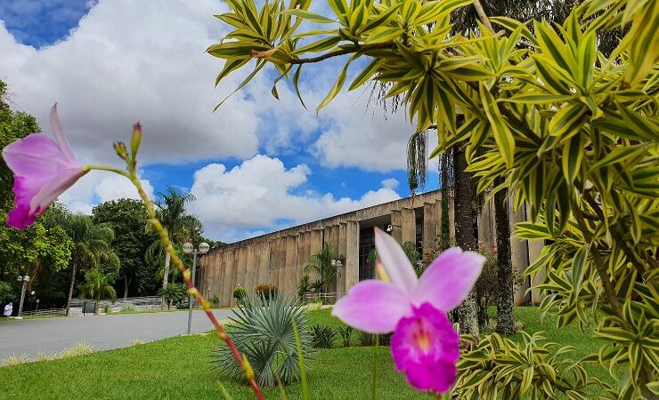 Aprovadas matérias que garantem a cidadania em MS