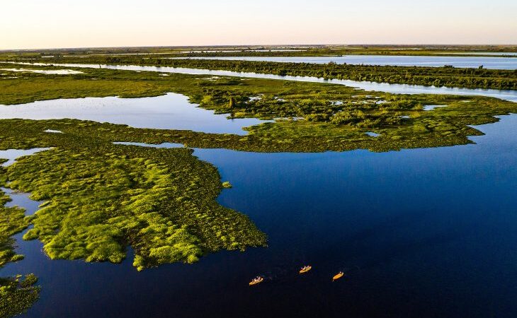 Com ações do Governo do Estado, Pantanal tem 85% da área preservada e redução do desmatamento