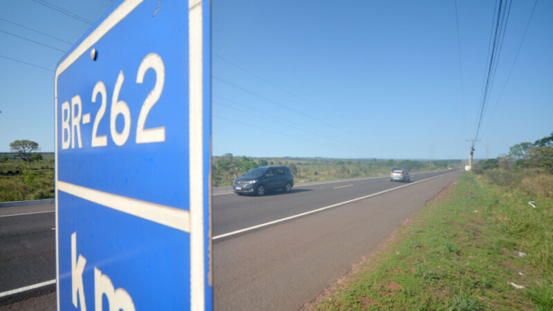 Governo prepara pacote com 5 rodovias para concessão em “rota da celulose”