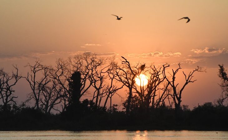 Domingo tem previsão de 43°C e calor não dá trégua em MS