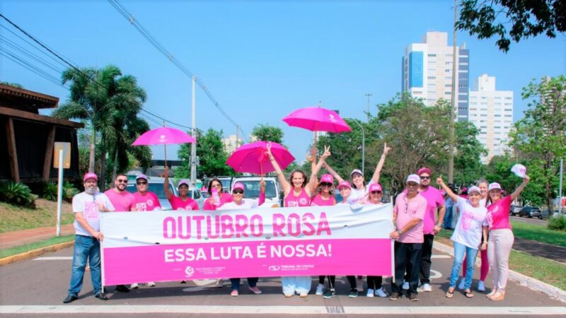 Servidores do TCE-MS realizaram blitz educativa com a Rede Feminina de Combate ao Câncer