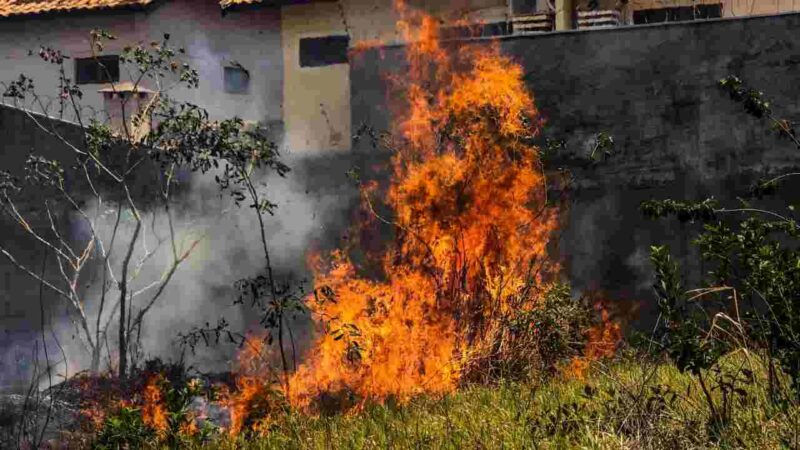 Incêndio cria cortina de fumaça e assusta moradores em condomínio de Campo Grande