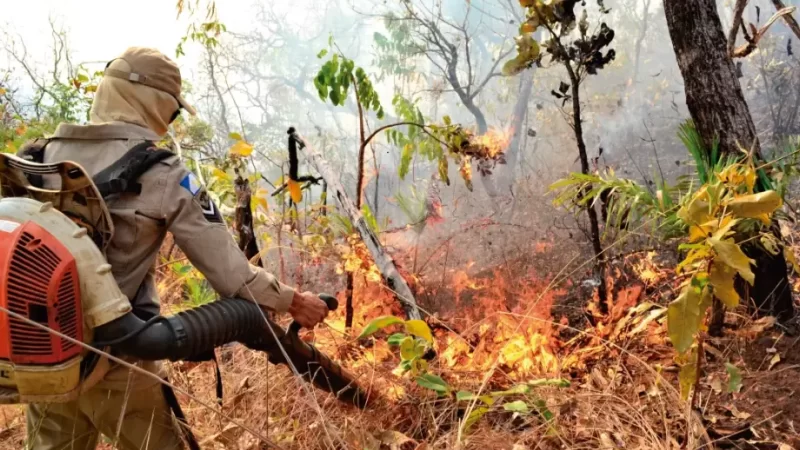 Agência do governo dos EUA doa a MS sopradores para combate ao fogo