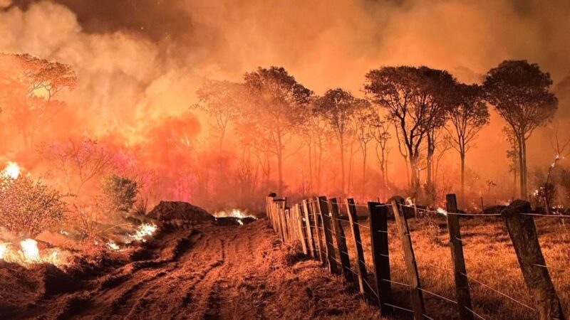 Com cinco cidades em situação de emergência, Pantanal pode ter novo desastre ambiental em 2023