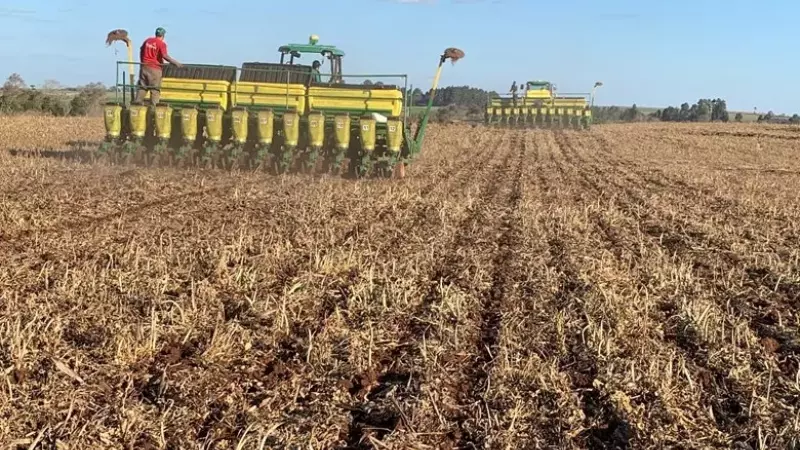 Falta de chuva já forçou replantio de 41 mil hectares de soja em MS