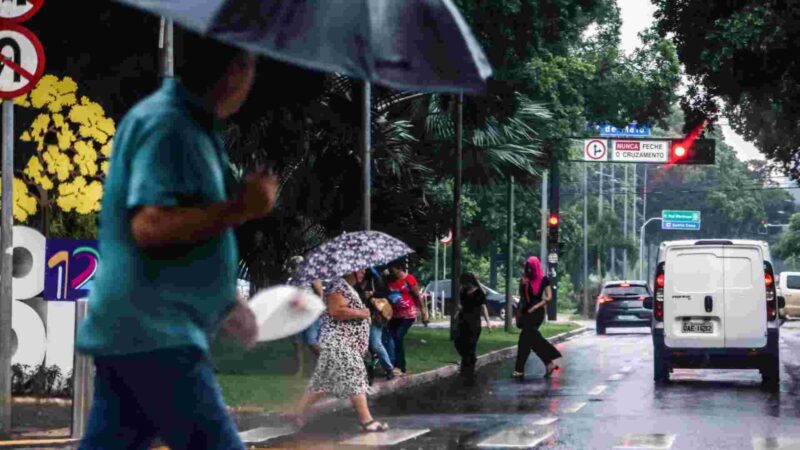 Mato Grosso do Sul tem todos os municípios em alerta de tempestade