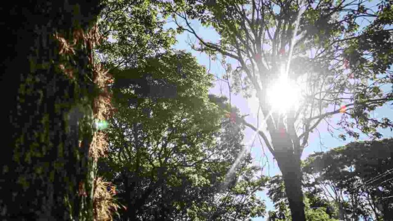 Ainda sob aviso de calor intenso, Mato Grosso do Sul entra em alerta de tempestade