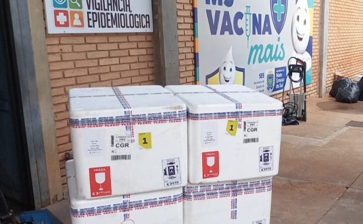 Segunda remessa chega e MS recebe mais de 3,7 mil doses da vacina contra a dengue