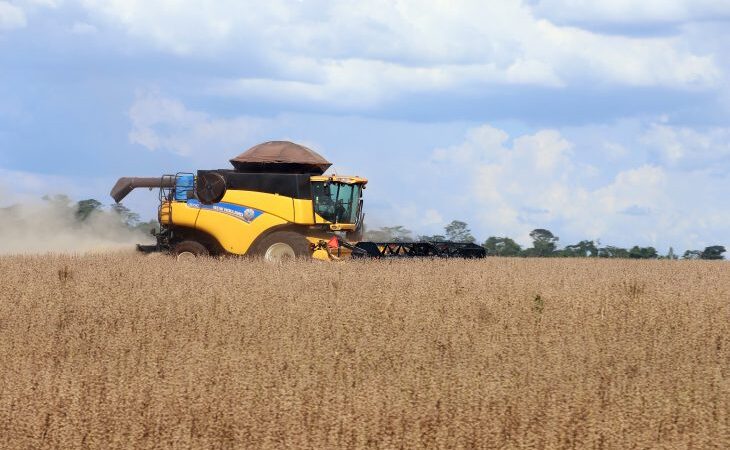 MS teve o maior crescimento do PIB do agronegócio entre os estados brasileiros