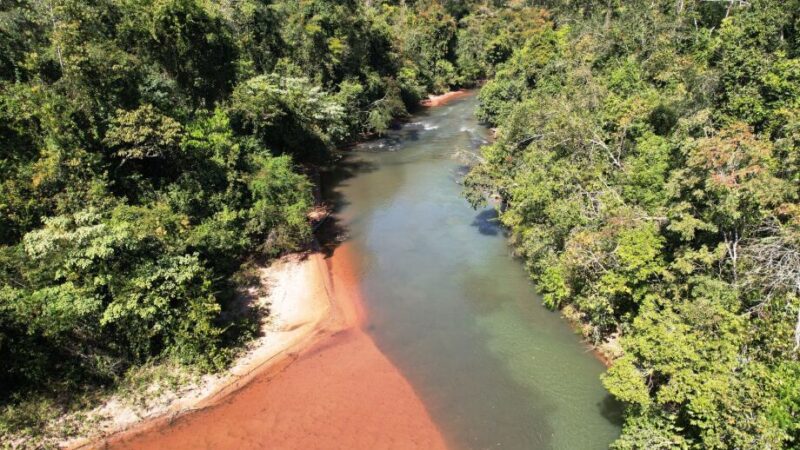 Projeto prevê plantio de 2 milhões de árvores em Parque Estadual de MS