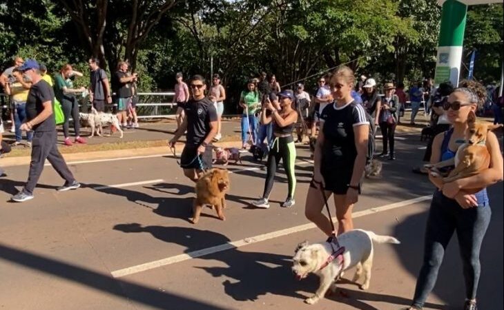 Abril Laranja: Ações de conscientização contra maus-tratos a animais chegam a Bodoquena e Corumbá