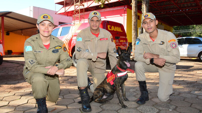 Cadela Laika ajudou bombeiros de MS a encontrar vítimas no Sul