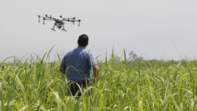 Tecnologia pede qualificação e mão de obra no campo ganha ‘cara nova’ em Mato Grosso do Sul