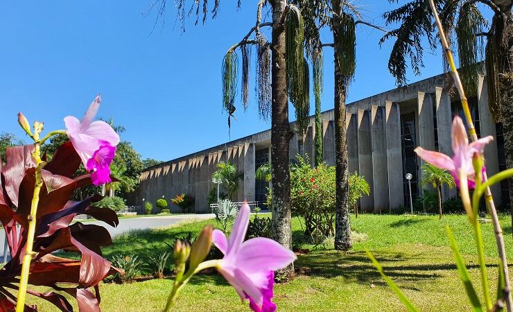 Agenda: Missa, Seminário do Leite e Lançamento de Frente Parlamentar são destaques