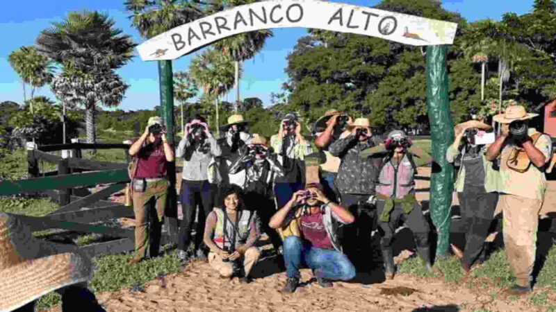 MS protagoniza mais uma vez em evento de observação de aves, ficando no Top 10