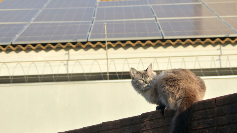 Famílias da Capital terão acesso a R$ 15 mil para kit de energia solar