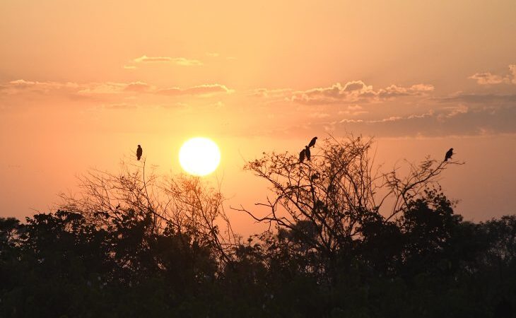 Calor volta ao Mato Grosso do Sul e fim de semana pode registrar temperaturas de até 34ºC