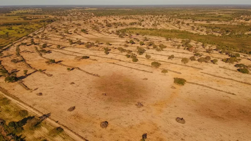 Deputado quer explicações da Semadesc e Imasul sobre licenças e desmatamento no Pantanal