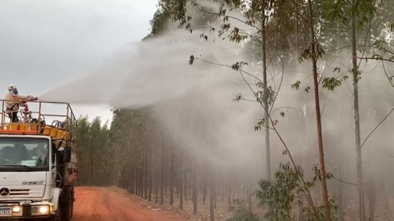 Risco de incêndios aumenta e setor da celulose cobra Dnit e Energisa