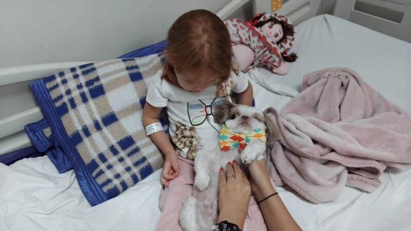 Após visitar hospital em Campo Grande, cão terapeuta alegra pacientes em Dourados