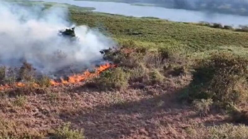 Após duas semanas de trégua, Pantanal volta a pegar fogo