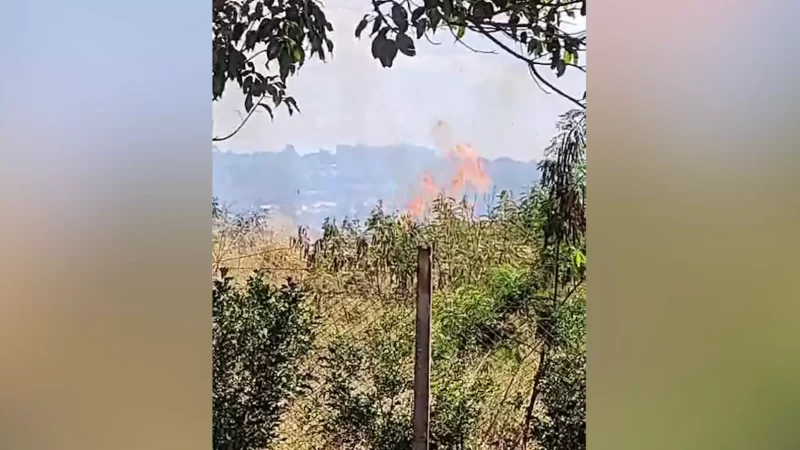 Com medo de chamas se espalharem, moradores usam mangueiras para controlar incêndio em mata