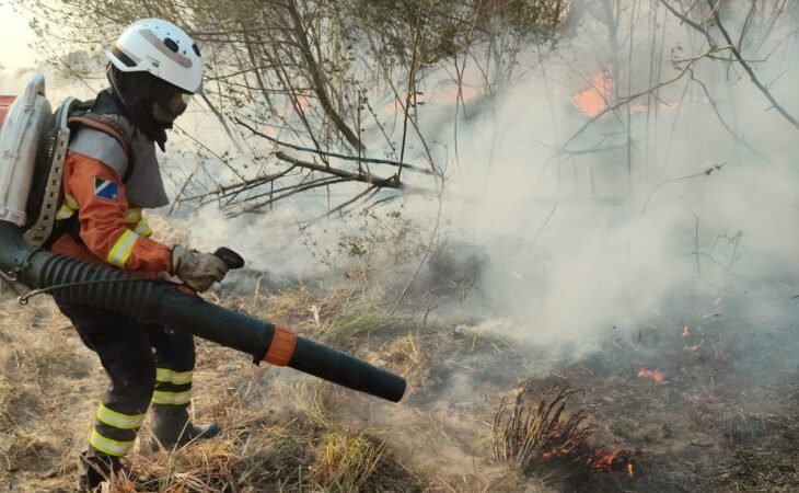 Mulheres têm papel de destaque no combate aos incêndios no Pantanal