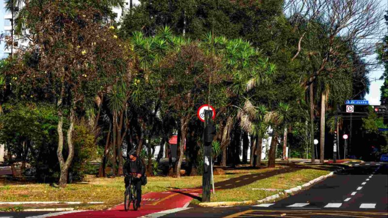 Semana terá mínima de 6°C, sol e baixa umidade do ar em Mato Grosso do Sul