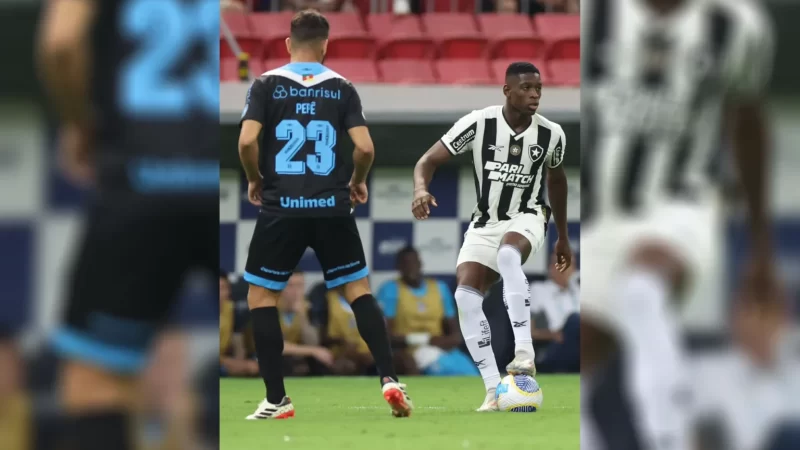 Botafogo empata com o Grêmio e fica só um ponto à frente do Palmeiras no Brasileirão