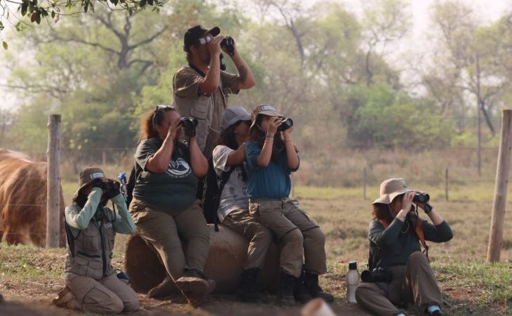 Turismo em ascensão: desafio de observação de aves registra 345 espécies em MS