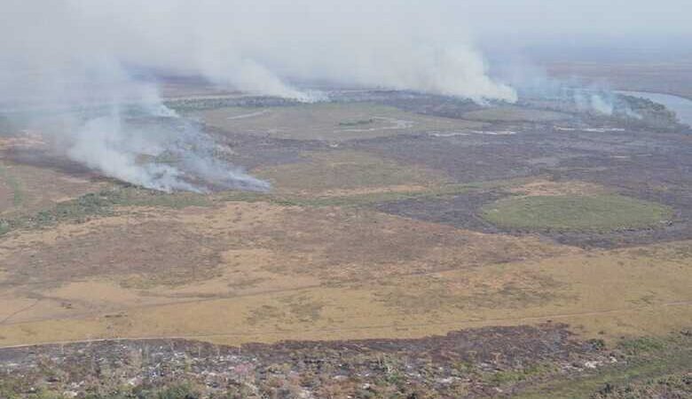 Incêndios criminosos contabilizaram prejuízo de R$ 220 milhões, diz PF