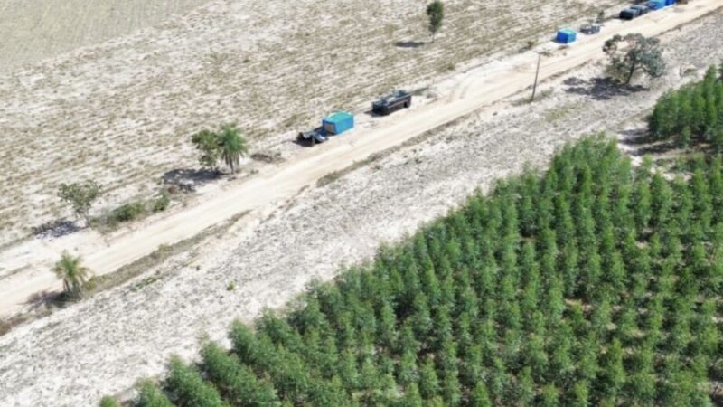 Ação da Suzano contra sem-terra em Ribas entra na reta final