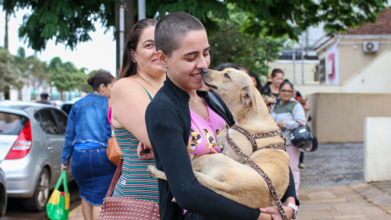 Castramóvel atenderá no shopping Bosque dos Ipês