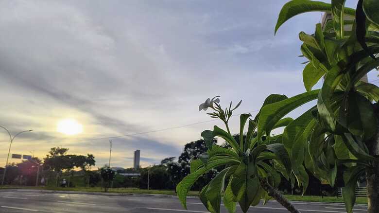 Após chuvaradas, tempo deve ficar firme nesta quinta em MS