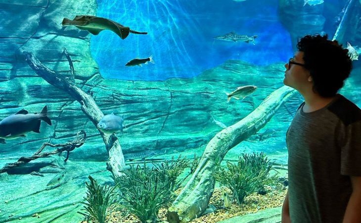 Em horário especial, Bioparque Pantanal abrirá as portas para visitantes no Dia do Trabalhador