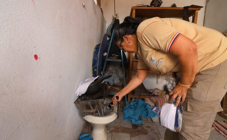 Boletim Epidemiológico: MS registra 3.641 casos confirmados de dengue
