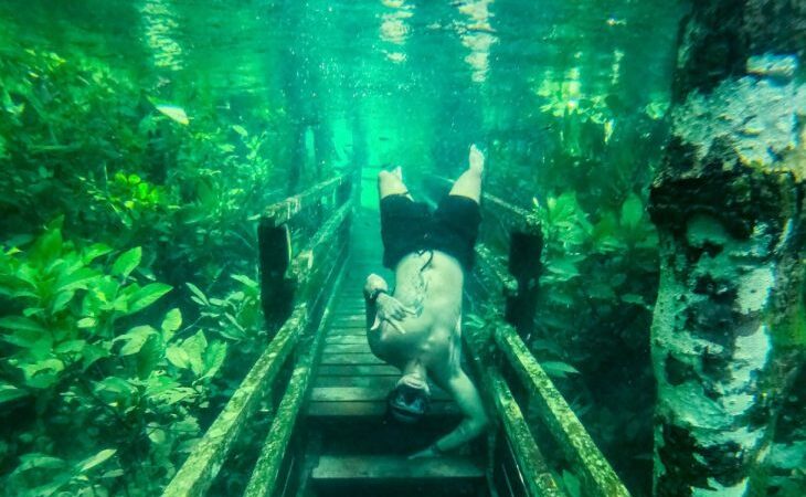 Trilha submersa: ações de conservação do solo melhoram a qualidade da água nos rios de Jardim e Bonito