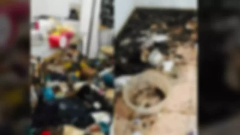 Comida estragada e lixo espalhado: Idoso é resgatado de casa insalubre pela PM em Campo Grande