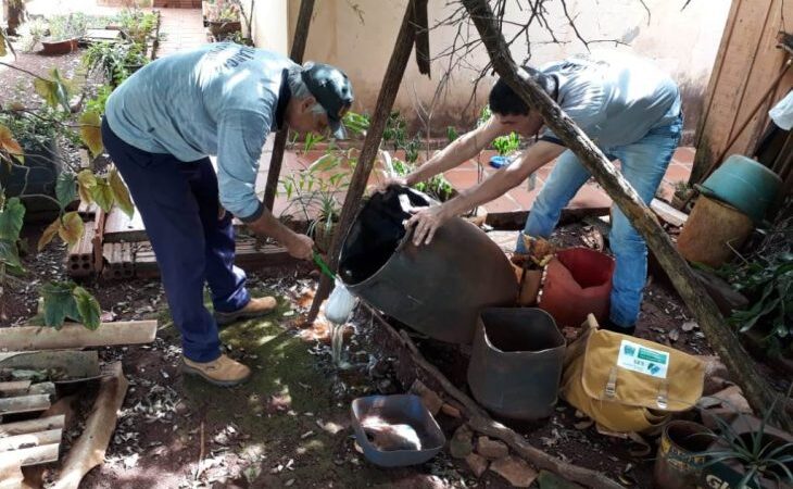 Boletim Epidemiológico: MS registra 4.517 casos confirmados de dengue