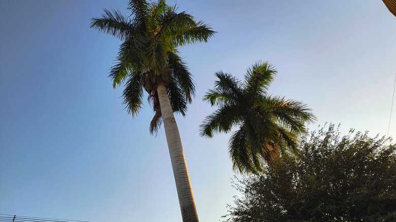 Meteorologia ainda prevê tempo ameno para a sexta-feira em MS