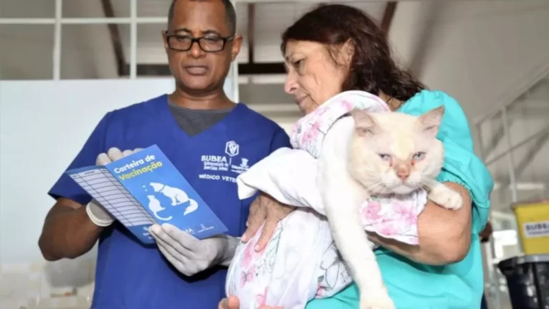 Campo Grande regulamenta fornecimento gratuito de ração para cães e gatos