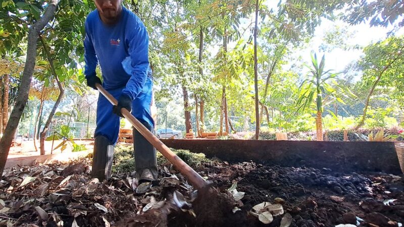 Dia do Meio Ambiente: De volta ao ciclo, borra de café dá vida ao verde da ALEMS