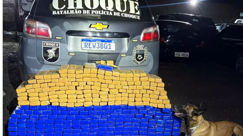 PM descobre ‘guarda-roupa’ usado para armazenar maconha avaliada em mais de R$ 700 mil em Campo Grande