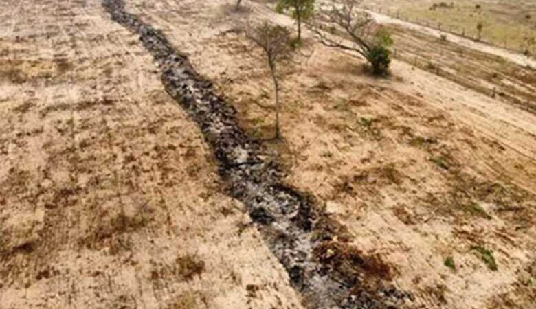 Incêndios que devastaram áreas no Pantanal viram alvo de inquérito do MPMS