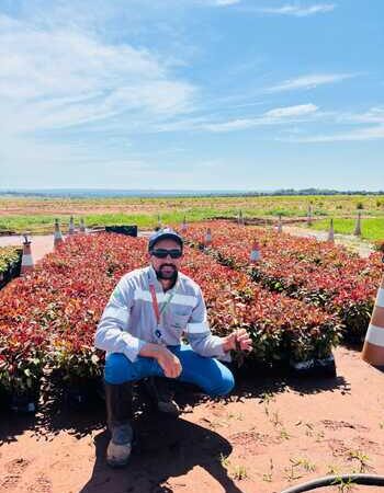 Suzano contribui para profissionalização de mão de obra em Ribas do Rio Pardo